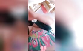 Chrysanthemum morifolium - 秋菊 - Amateur - Mix - Chapter 3