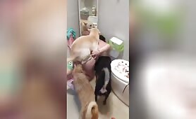 Sugar 糖  - Amateur - Part 4