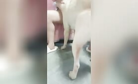 Sugar dating (甜心约会) - MIX - Amateur - part 1