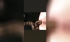 Snake - Anal
