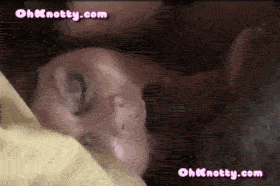 Knotty Knotty - Knotty Kitten