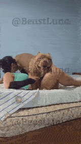 BeastLuna - voooouuuuu