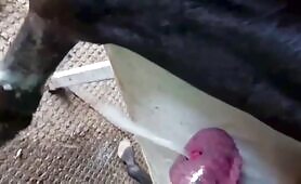 Horse unload mix