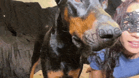 Making cum my Dobermann - Kittykn9ne - Custom - EXCLUSIVE
