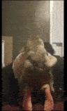 Private class - Amateur