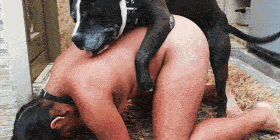 Vanessas girls - Dog for Two - EXCLUSIVE