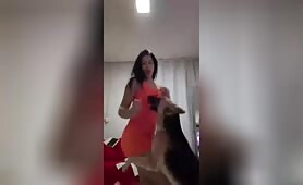 Unstoppable Shepard - Amateur