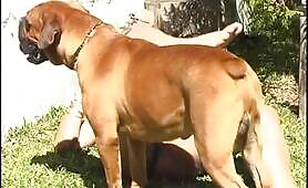 A girl and a dog - EXCLUSIVE LEGASY