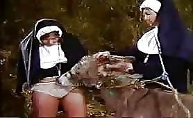 Animal sex with Nuns 