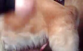 WebCam fun - EXCLUSIVE LEGASY