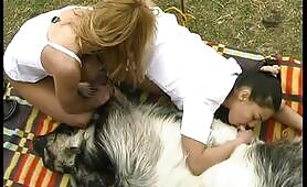 Milking a Goat - EXCLUSIVE LEGASY